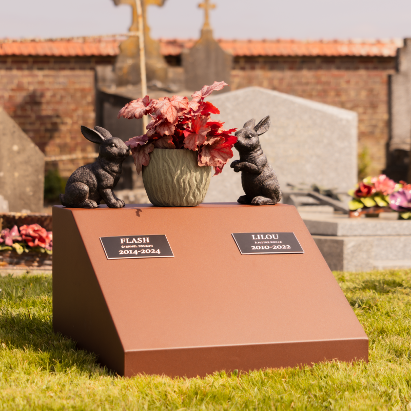 Alternys, monument funéraire pour animaux marron cortene en situation