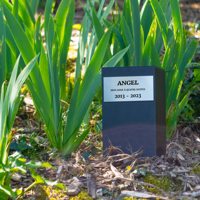 Exemple d'utilisation dans un jardin du cache urne Perpetua